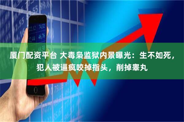 厦门配资平台 大毒枭监狱内景曝光：生不如死，犯人被逼疯咬掉指头，削掉睾丸